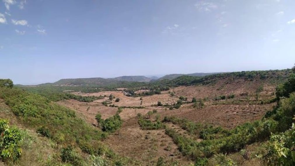 Phanaswadi Waterfall Trek-4